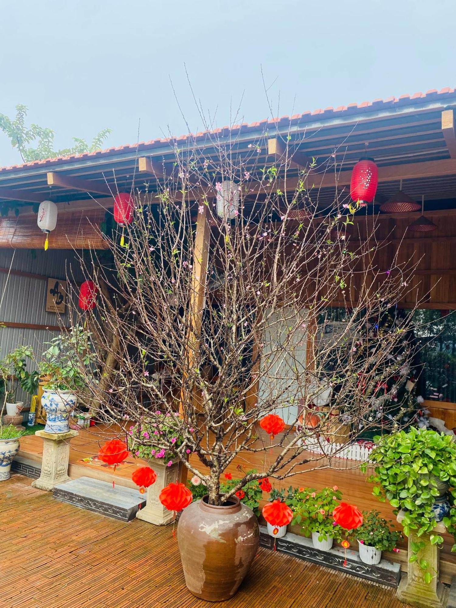 An Homestay Tam Coc Ninh Binh Eksteriør billede