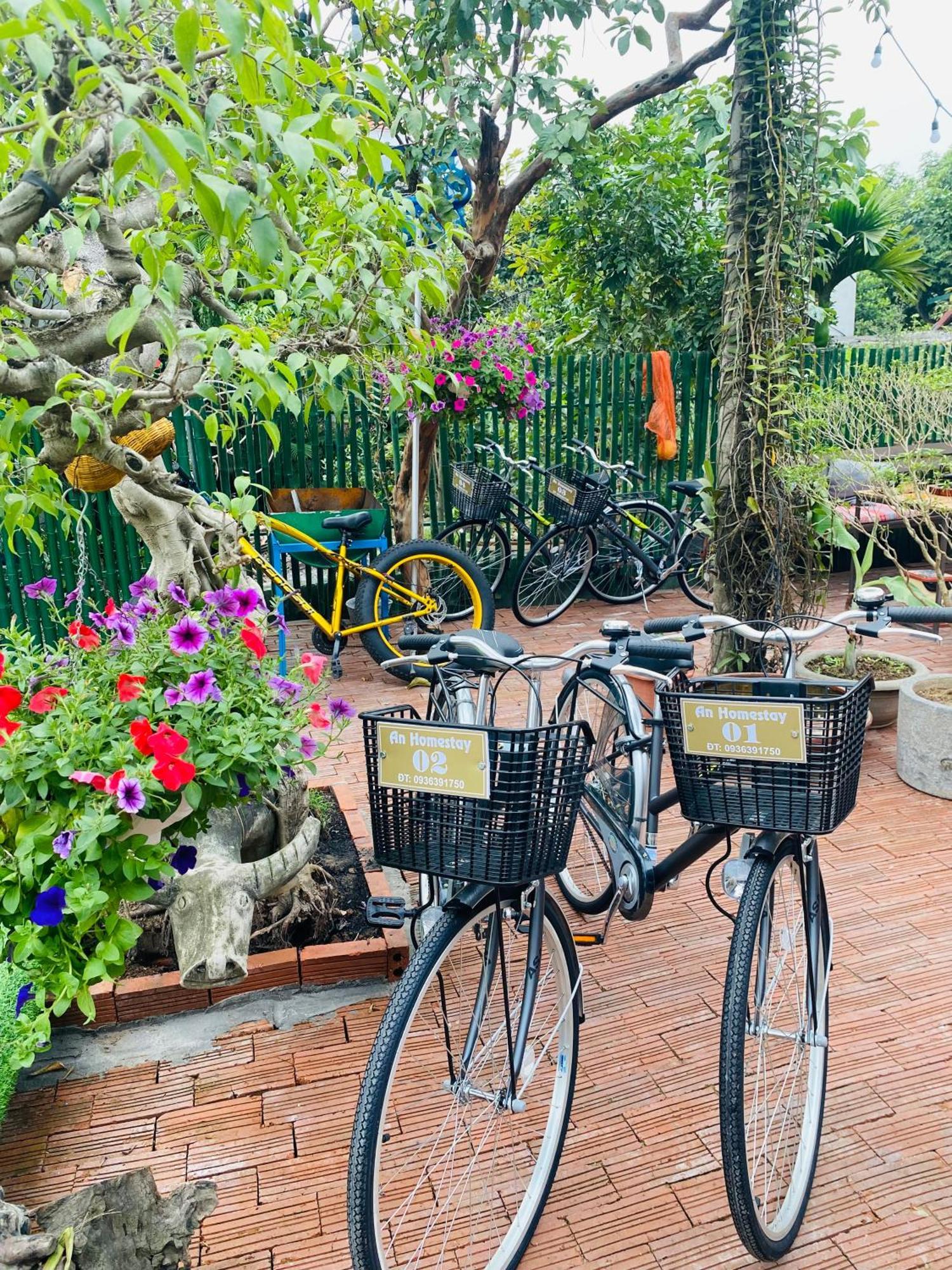 An Homestay Tam Coc Ninh Binh Eksteriør billede