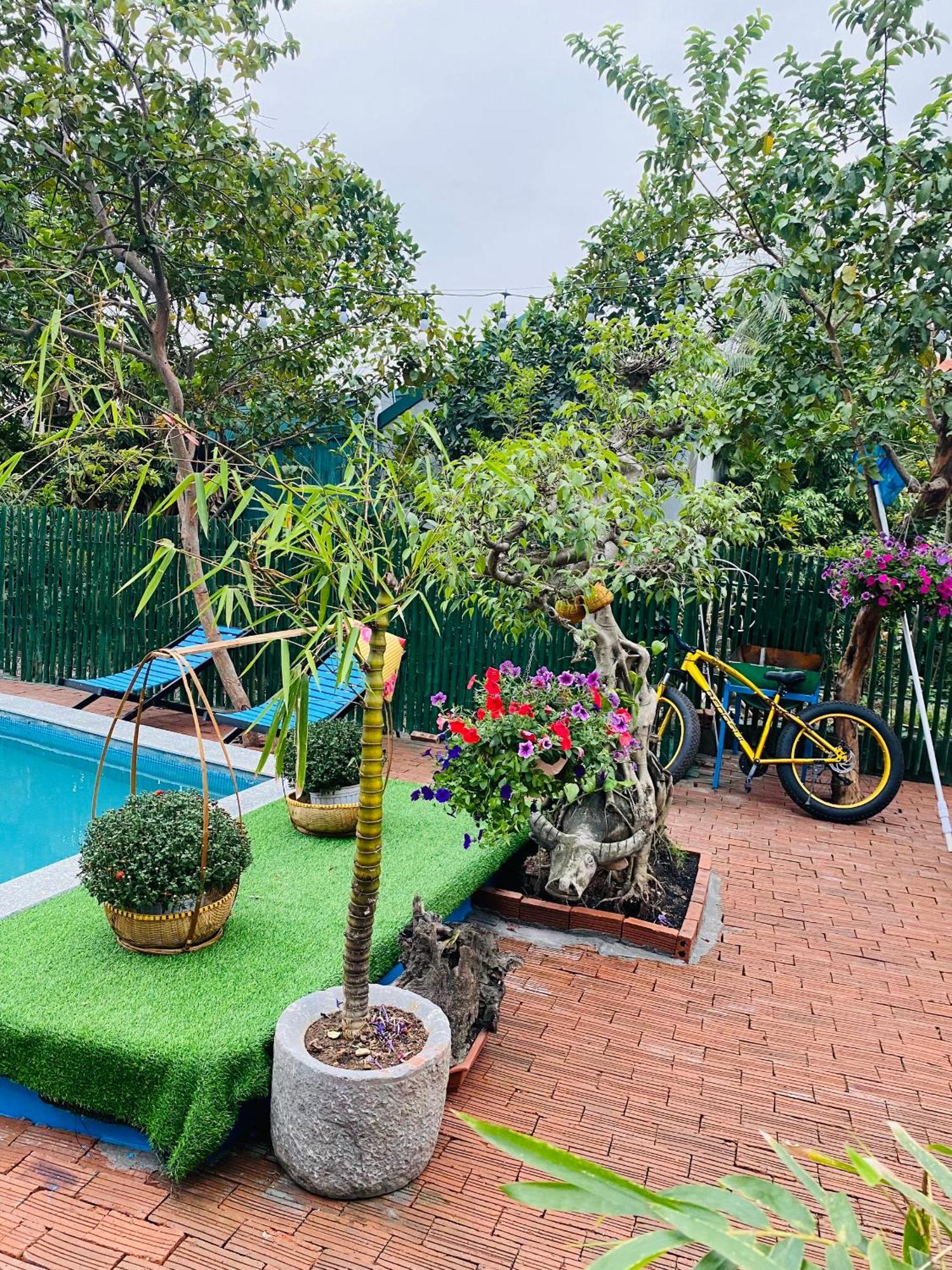 An Homestay Tam Coc Ninh Binh Eksteriør billede